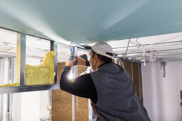 Best Types of Insulation in Litchfield Park, AZ