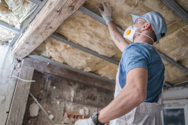 Best Insulation for Specific Applications in Litchfield Park, AZ
